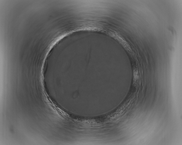 X0000111870628200907231513