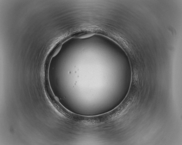X0000111870630200907231513