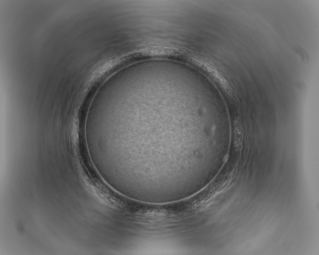 X0000111870631200907231513