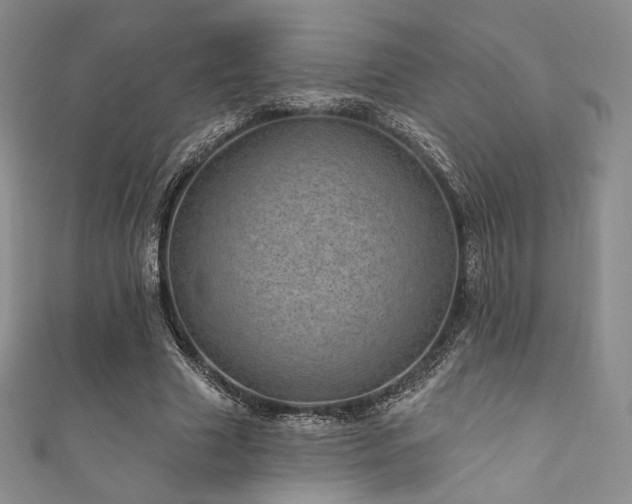 X0000111870633200907231513