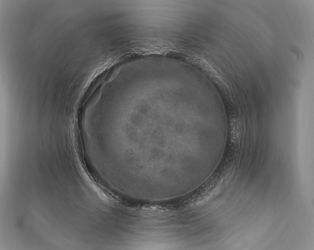X0000111870634200907231513