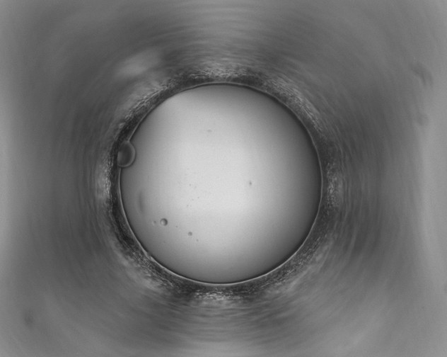 X0000111870635200907231513