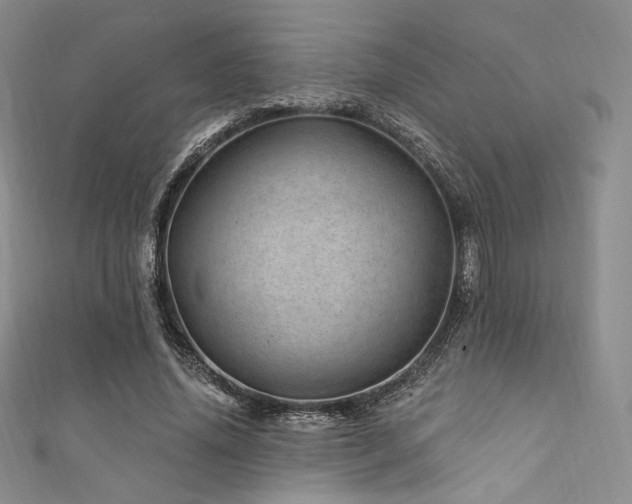 X0000111870636200907231513
