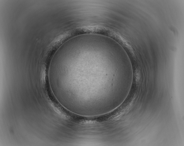 X0000111870637200907231513