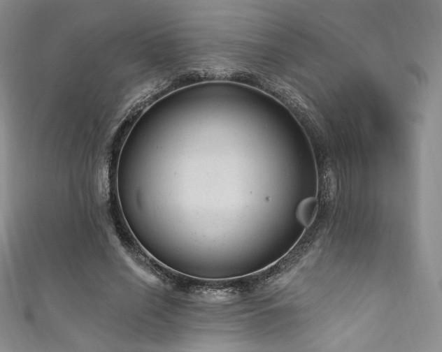 X0000111870638200907231513