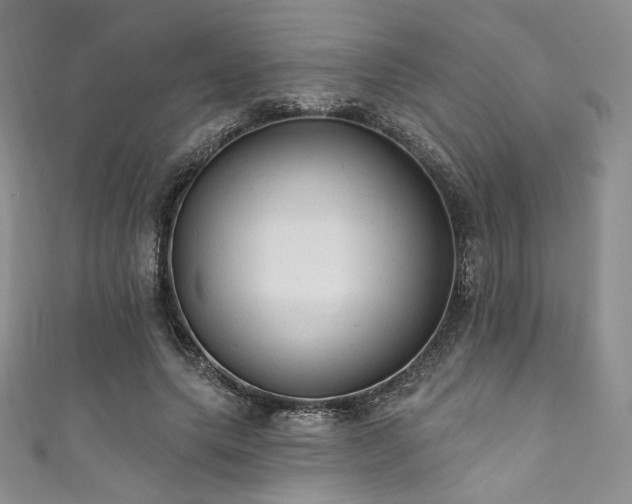 X0000111870639200907231513