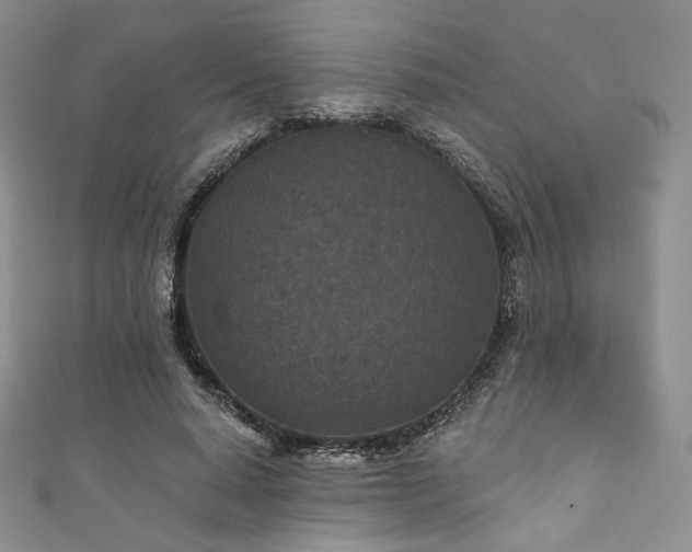 X0000111870640200907231513