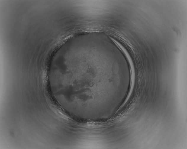 X0000111870641200907231513