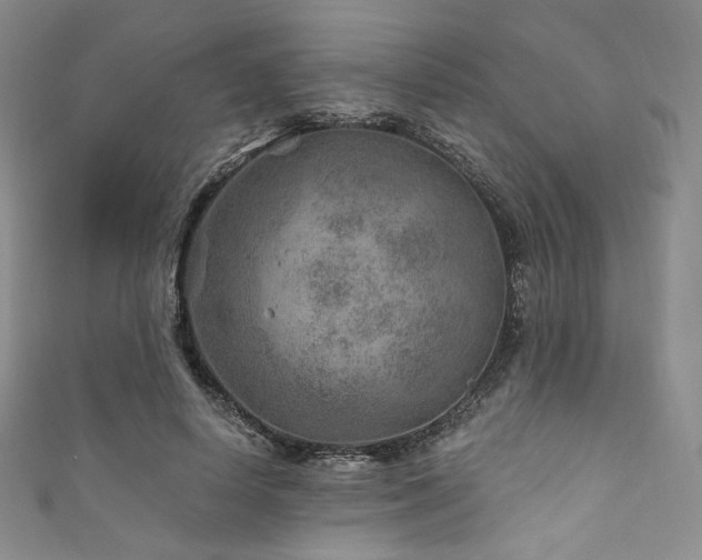 X0000111870642200907231513