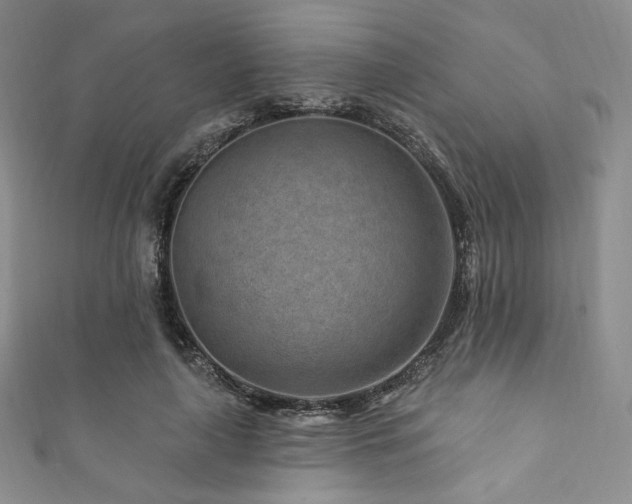 X0000111870643200907231513