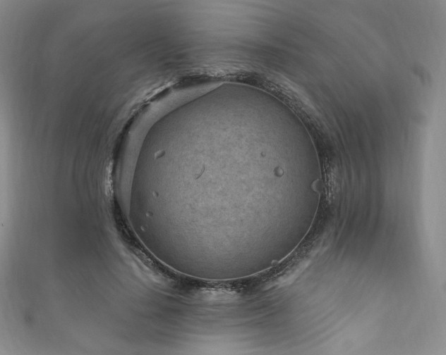 X0000111870644200907231513