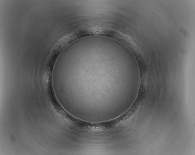 X0000111870645200907231513
