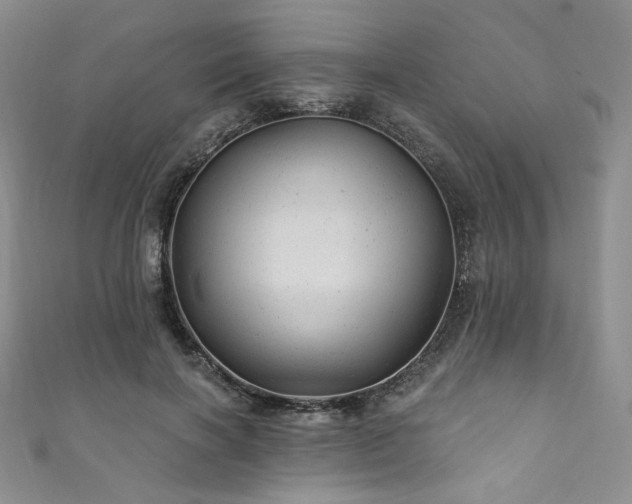 X0000111870646200907231513