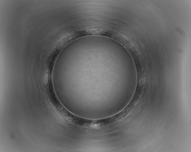 X0000111870647200907231513