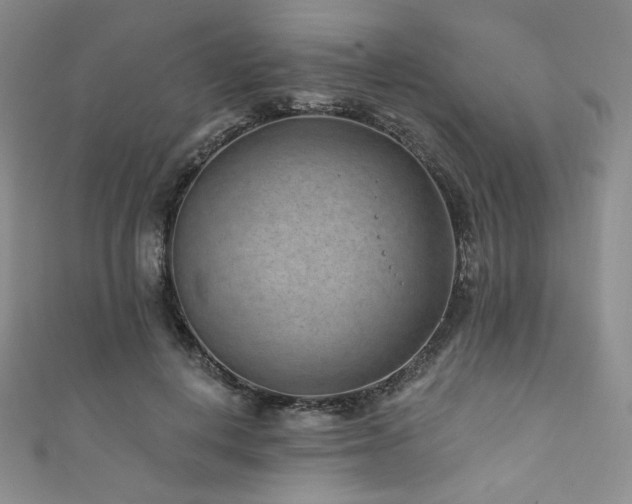 X0000111870648200907231513