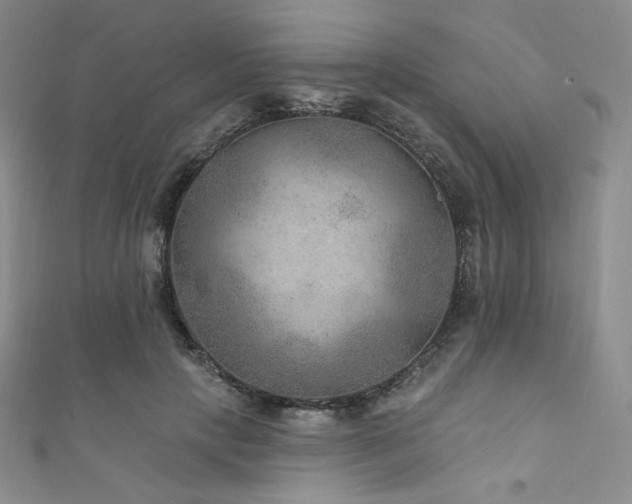 X0000111870649200907231513