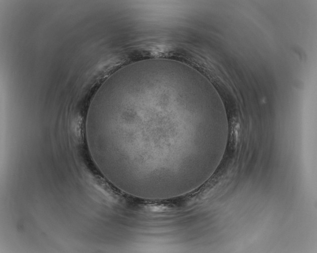 X0000111870650200907231513