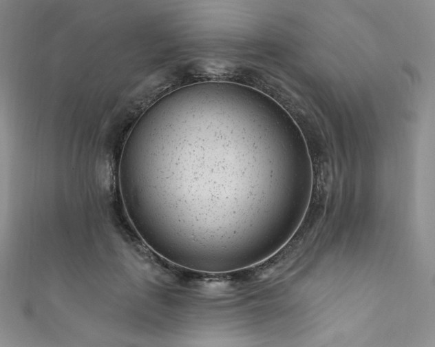 X0000111870651200907231513