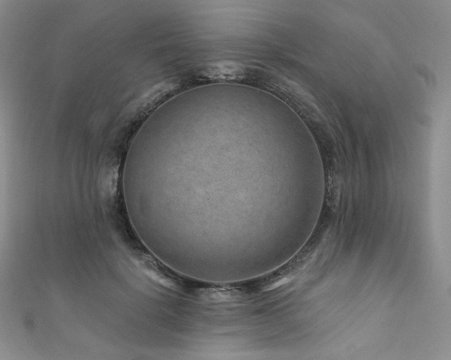X0000111870652200907231513