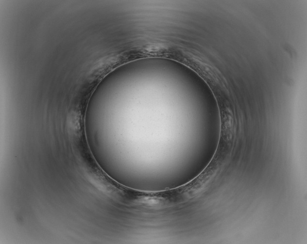 X0000111870654200907231513