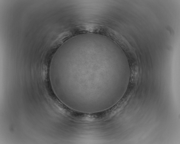 X0000111870656200907231513