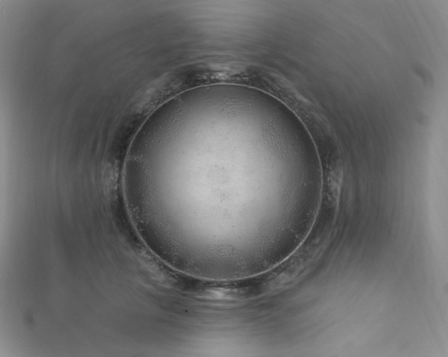X0000111870657200907231513