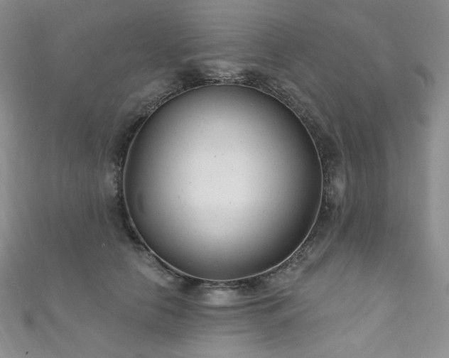 X0000111870658200907231513