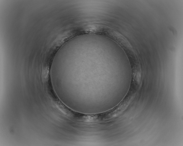 X0000111870660200907231513