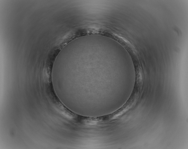 X0000111870661200907231513