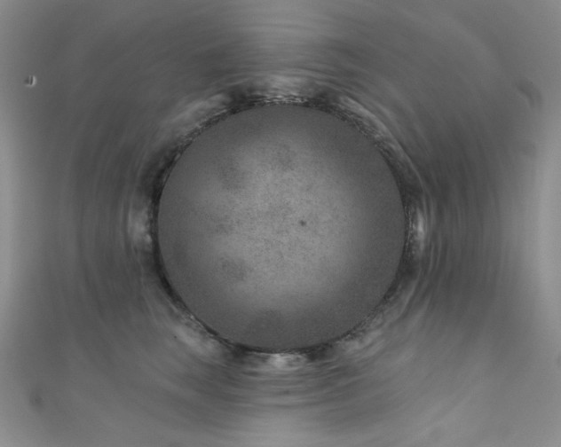 X0000111870663200907231513