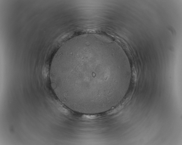 X0000111870665200907231513