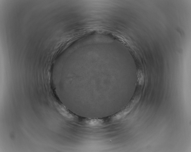 X0000111870670200907231514