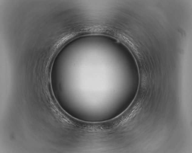 X0000111870673200907231513