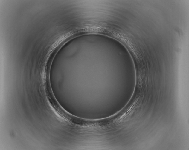 X0000111870674200907231513