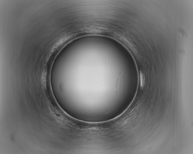 X0000111870675200907231513