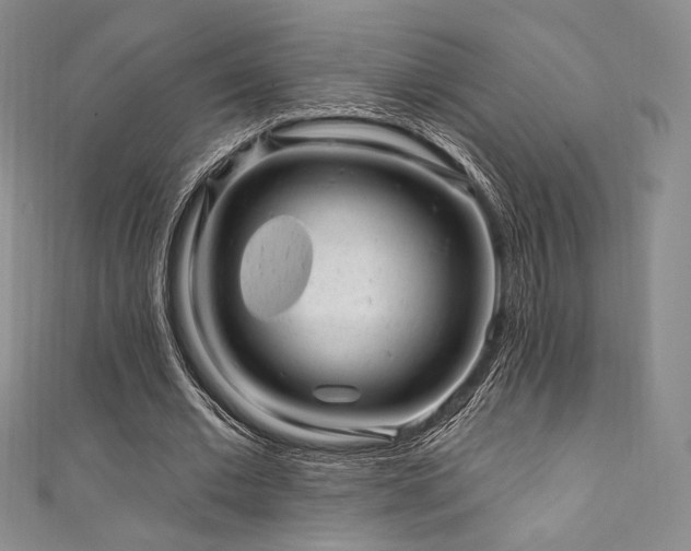 X0000111870677200907231513