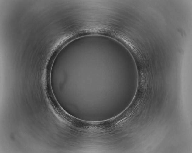 X0000111870678200907231513