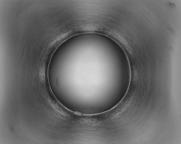 X0000111870681200907231513