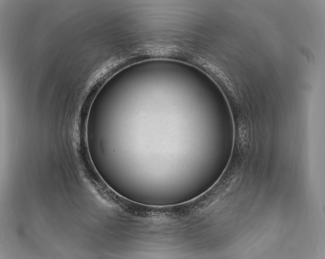 X0000111870682200907231513