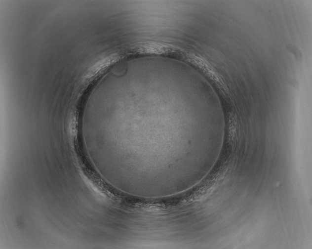 X0000111870683200907231513