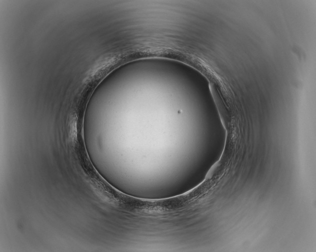 X0000111870685200907231513