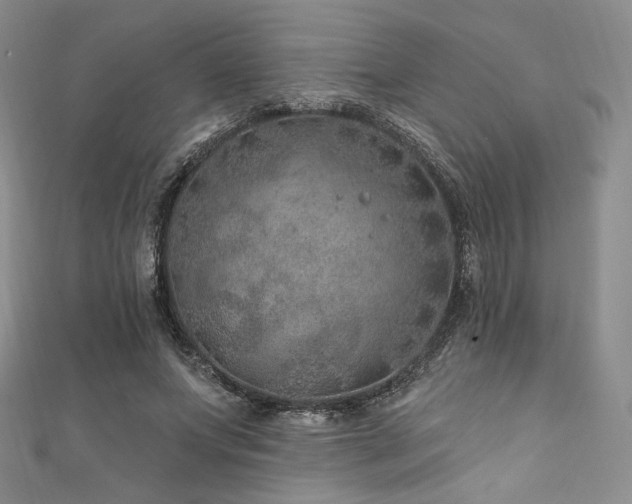 X0000111870687200907231513