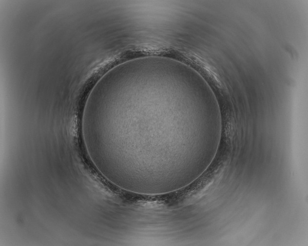 X0000111870689200907231513