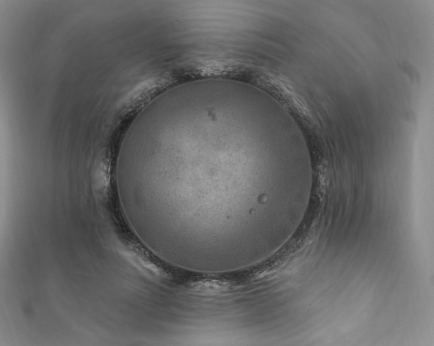 X0000111870691200907231513