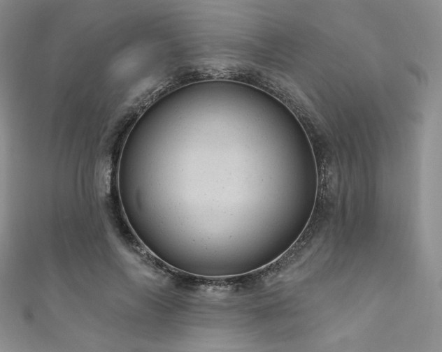 X0000111870694200907231513