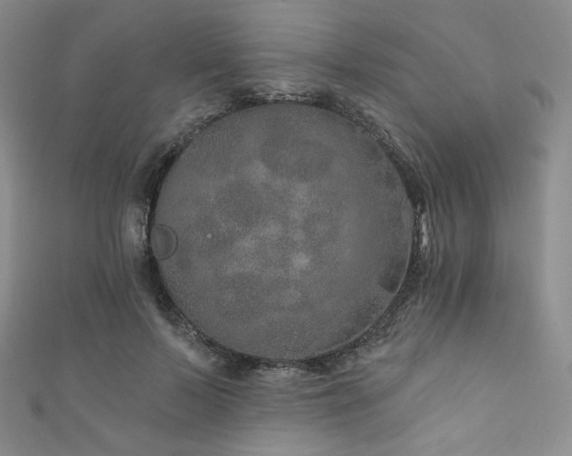 X0000111870695200907231513
