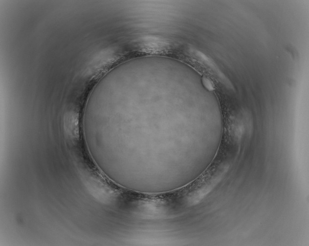 X0000111870696200907231513