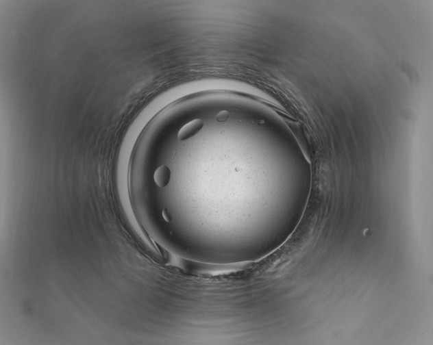 X0000111870697200907231513