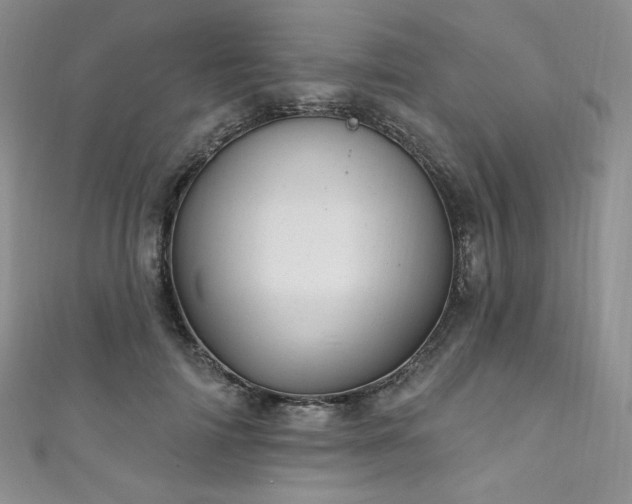 X0000111870698200907231513