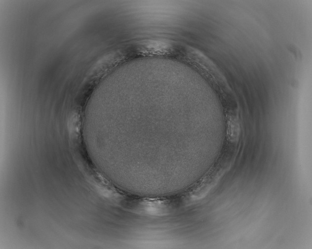 X0000111870701200907231513